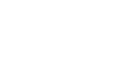 DataNyelv Logo
